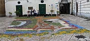 IMG_9869