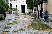 IMG_9870