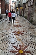 IMG_9875