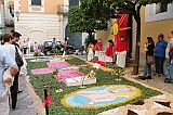IMG_7559