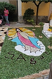 IMG_7566