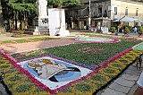 IMG_7577
