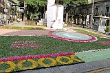 IMG_7582