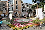 IMG_7588