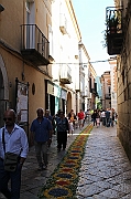 IMG_9290