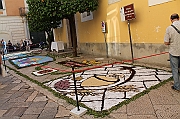 IMG_9295
