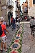 IMG_9296