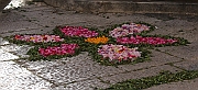 IMG_9305