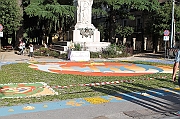 IMG_9311