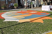IMG_9318