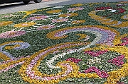 IMG_9327