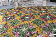 IMG_9328