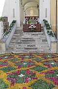 IMG_9329