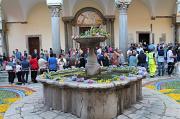 IMG_8481
